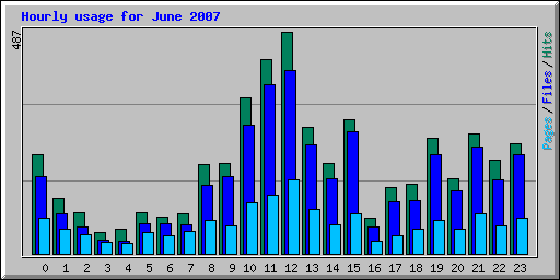 Hourly usage for June 2007